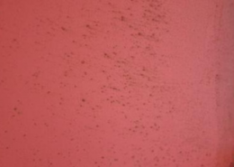 (房屋牆壁發黴怎麼辦)房屋牆壁發黴如何處理